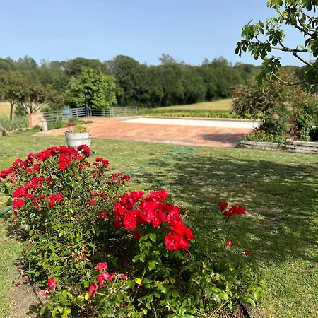 Figueretes Ii Holiday home Caldes de Malavella