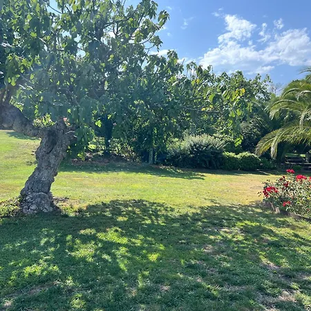 Figueretes Ii Holiday home