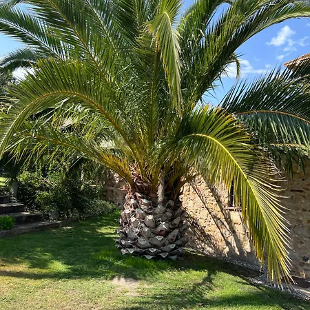 Figueretes Ii Holiday home Caldes de Malavella